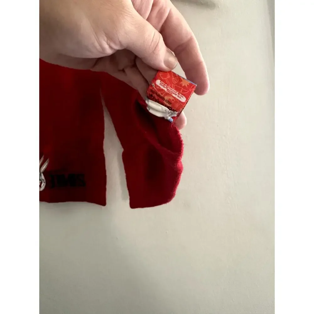 Looney Tunes Bugs Bunny Kids Red Scarf